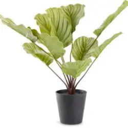 JYSK Plantă artificială ROLF 55cm verde