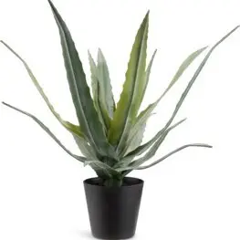 JYSK Plantă artificială CELIUS 39cm verde