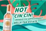 Giordano Vini Hot CIN CIN - al 31.08.2026