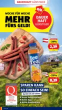 HOFER HOFER: Flugblatt - ab 28.08.2026