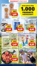 HOFER HOFER: Flugblatt - ab 28.08.2026