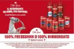 SUPERMERCATI TOSANO CEREA SRL 100% Fressshhh o 100% rimborsato - al 31.12.2026