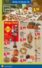 Lidl Lidl - bis 09.09.2026