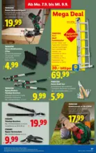 Lidl Lidl - bis 09.09.2026