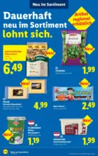 Lidl Lidl - bis 09.09.2026
