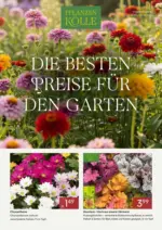 Pflanzen-K&ouml;lle Pflanzen-K&ouml;lle: Die besten Preise f&uuml;r den Garten - bis 30.09.2026
