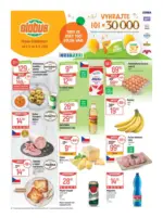Globus Globus 36 26 L1 &ndash; do 08.09.2026