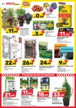 Bricomarche gazetka