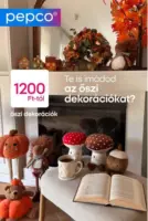 Pepco akci&oacute;s