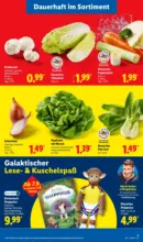Lidl Lidl: Wochenangebote - bis 12.09.2026