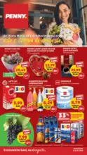 Catalog Penny Market
