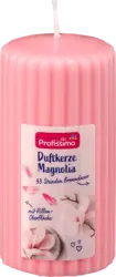 Lum&acirc;nare cu parfum de magnolie