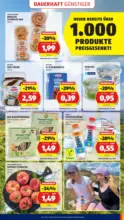 HOFER HOFER: Flugblatt - ab 04.09.2026
