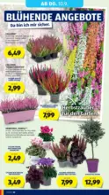 HOFER HOFER: Flugblatt - ab 04.09.2026
