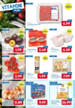 T&G: Flugblatt