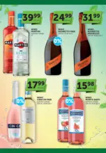 Aktualne promocje specjalne
