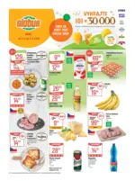 Globus Globus 36 26 L1 &ndash; do 08.09.2026