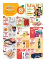 Globus Globus 37 26 L1 &ndash; do 15.09.2026
