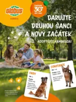 Globus Globus 37 26 K5 PET DOBRO &ndash; do 31.10.2026