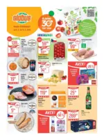 Globus 37 26 L1