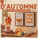 Trafic LES CITROUILLES ONT QUITT&Eacute; LE POTAGER&hellip; POUR ENVAHIR LA D&Eacute;CO ! - au 06.09.2026