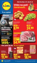 Lidl Lidl let&aacute;k do 06.09.2026 &ndash; do 06.09.2026