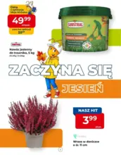 Odkryj atrakcyjne oferty
