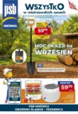 Mrówka gazetka