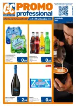 C+C PromoProfessional - al 19.09.2026