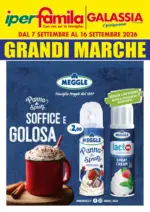 Galassia Grandi marche 7-16 settembre 2026 - al 16.09.2026