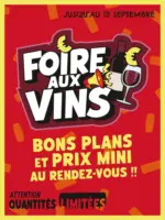 Nous anti gaspi LA FOIRE AUX VINS CONTINUE ! - au 13.09.2026