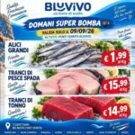 BluVivo Le migliori offerte per tutti i clienti - al 09.09.2026