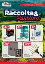 Pronto Hobby Raccolta & Passioni - al 30.09.2026