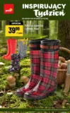 Oferta NonFood POLOmarket do 15.09 (G37)
