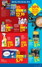 Lidl Lidl - bis 23.09.2026