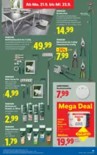 Lidl Lidl - bis 23.09.2026