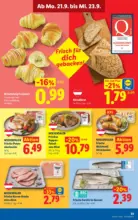 Lidl Lidl - bis 23.09.2026
