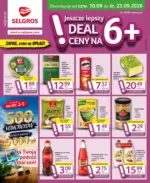 Oferta dla profesjonalist&oacute;w Selgros &ndash; do 23.09.2026