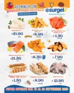 Surgel&egrave; Ricomincia con gusto e convenienza - al 26.09.2026