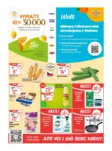 Globus 38 26 L1