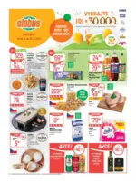 Globus Globus 38 26 L1 &ndash; do 22.09.2026