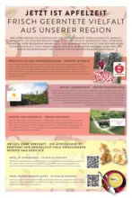 E center: Wochenangebote