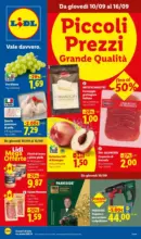 Lidl Piccoli prezzi Grande qualit&agrave; - al 16.09.2026