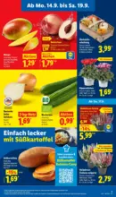 Lidl Lidl: Wochenangebote - bis 19.09.2026