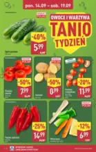 Aldi gazetka