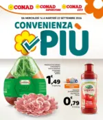 Pac 2000 A Soc. Coop. R.L. Convenienza Pi&ugrave; - al 22.09.2026