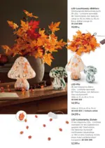 Tchibo/Eduscho Tchibo: Herbst auf dem Tisch - bis 07.10.2026