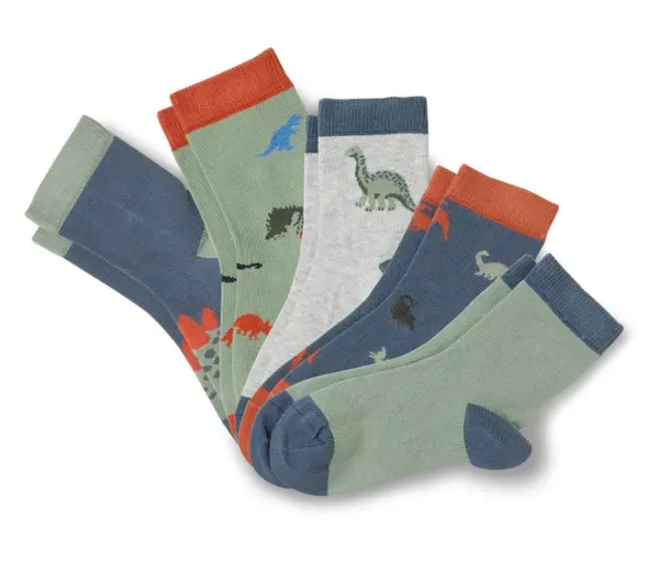 5 Paar Kinder-Socken, Dino