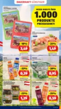 HOFER HOFER: Flugblatt - ab 18.09.2026