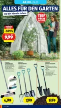 HOFER HOFER: Flugblatt - ab 18.09.2026